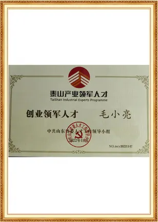 Talento líder de Taishan