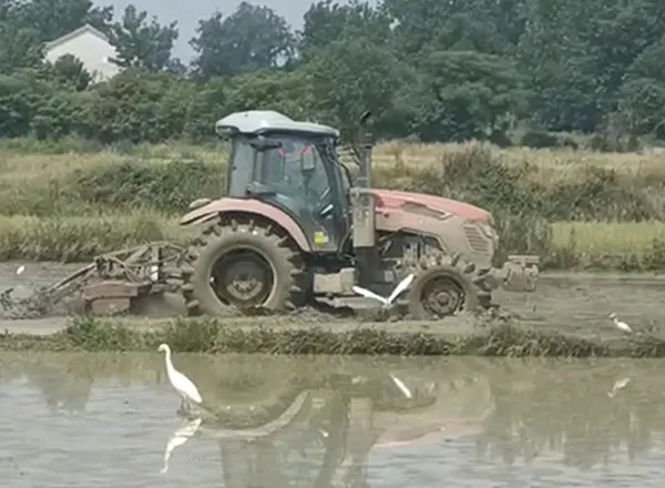 Operación del campo de arroz